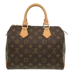 Louis Vuitton handbag LV Speedy Monogram